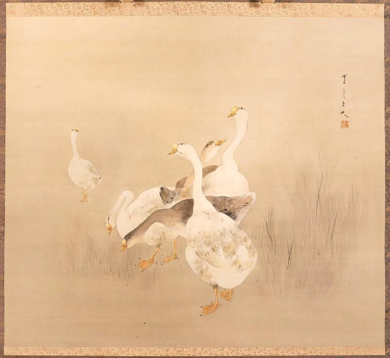 Geese