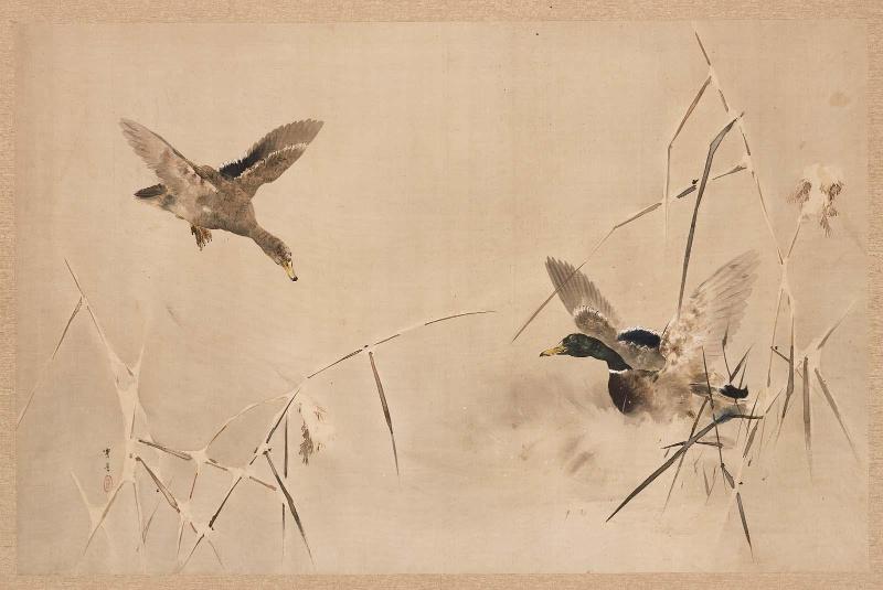 Two Ducks among Reeds