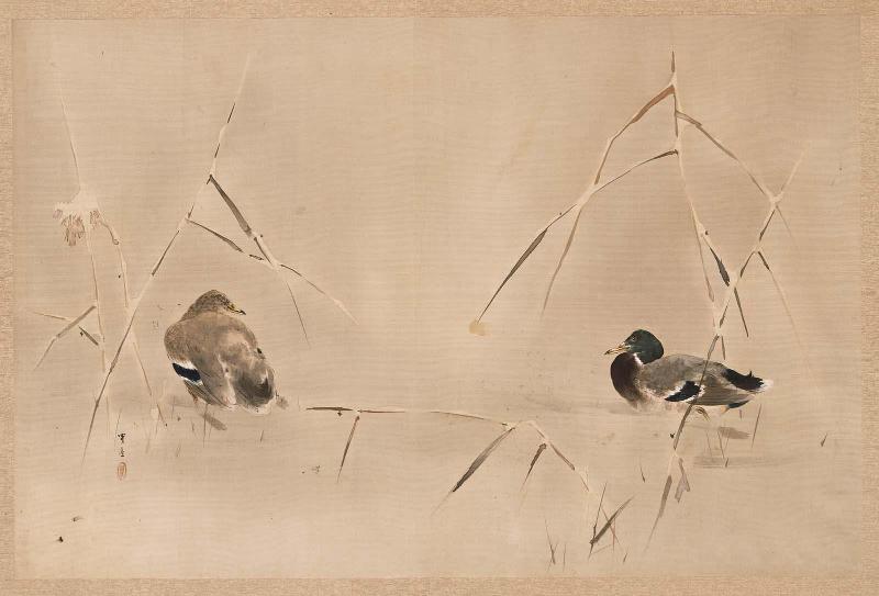 Two Ducks among Reeds