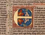 The letter "E"