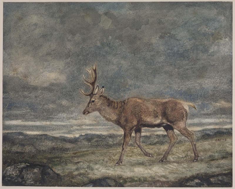 Walking Stag