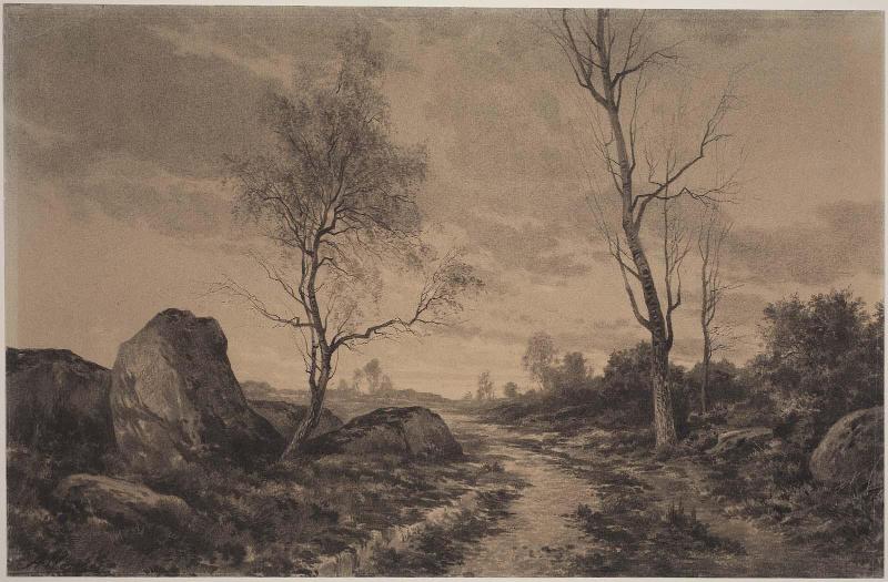 Landscape