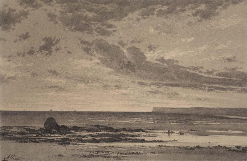 Marine Landscape