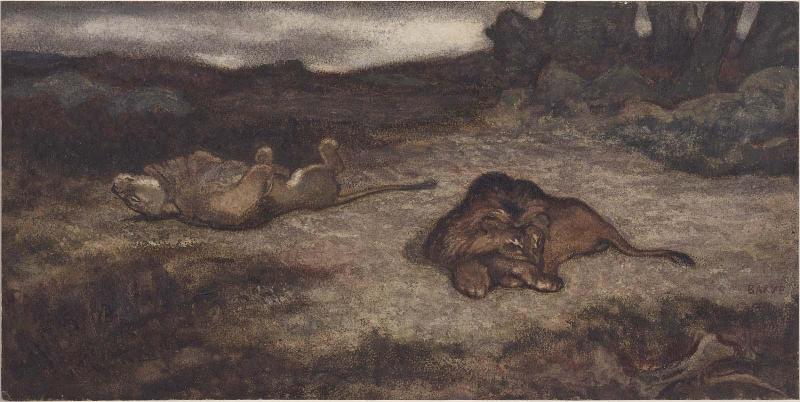 Lion and Lioness