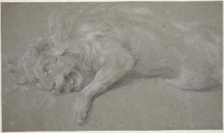 Dying Lion (recto); Wolf (verso)