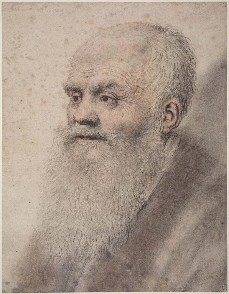 Portrait of an Old Man with long beard