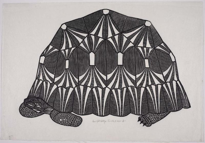 Turtle II