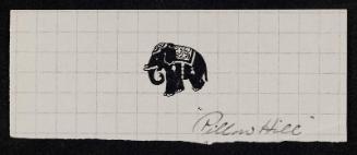 Small Elephant