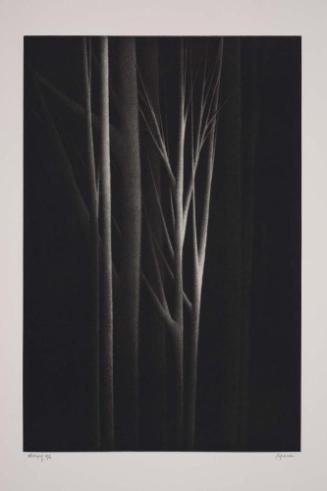 Forest Nocturne IV