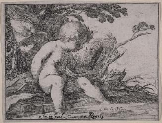 Cupid Holding a Portrait