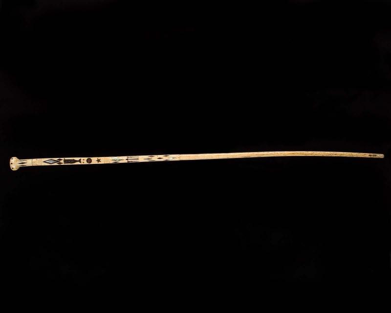 Cane