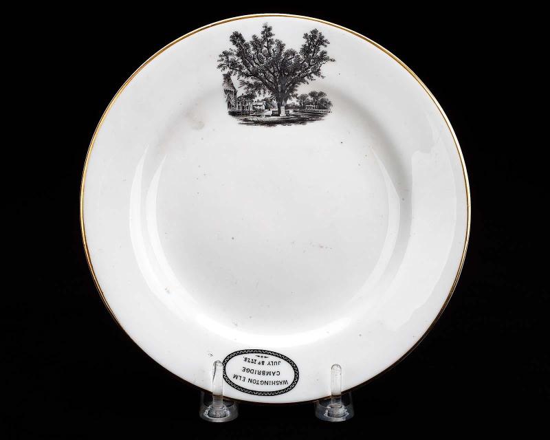 Plate
