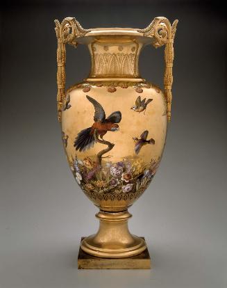 Large bird on branch