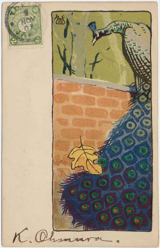 Peacock on a Wall