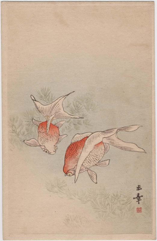 Goldfish