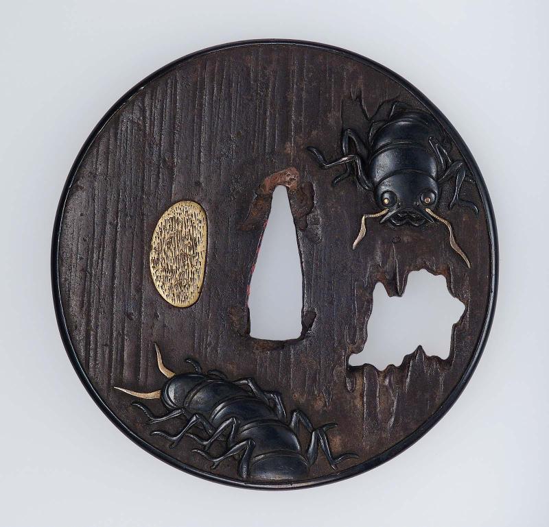 Tsuba with design of beetles and rotting wood