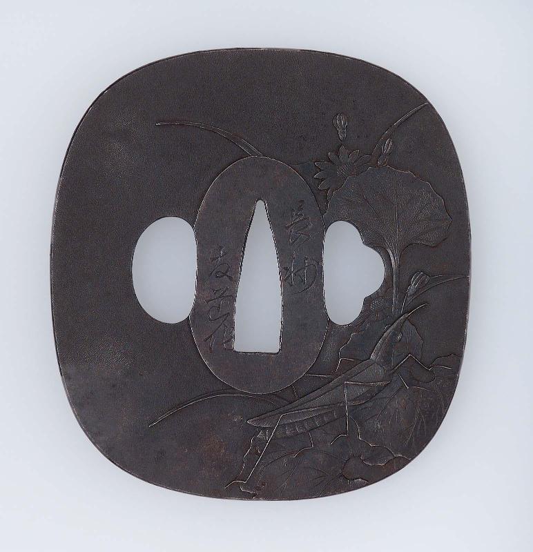 Tsuba with design of grasshopper and fuki plants