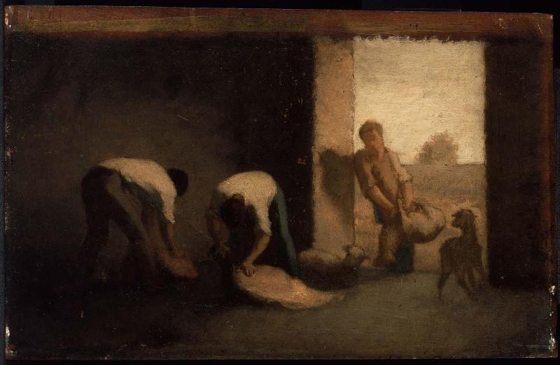 Sheep Shearing at Barbizon