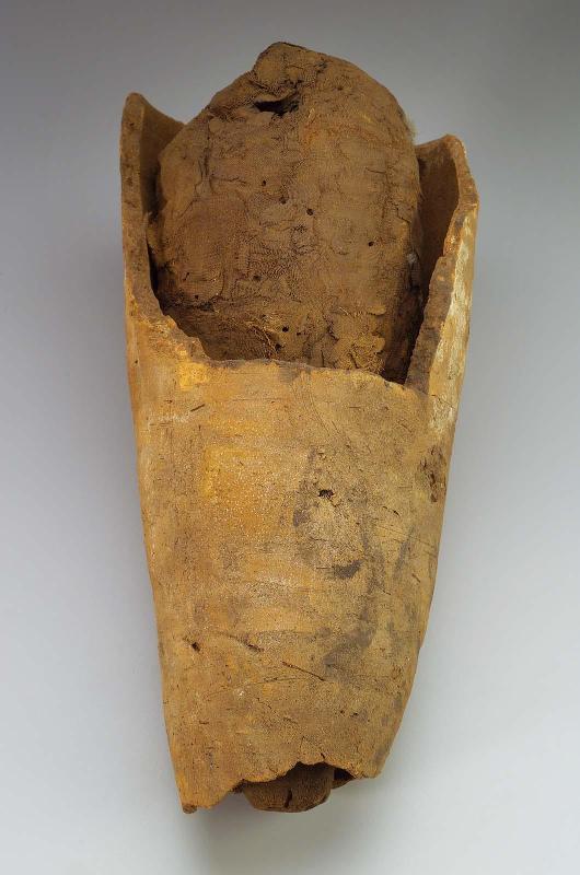 Bird mummy in a jar