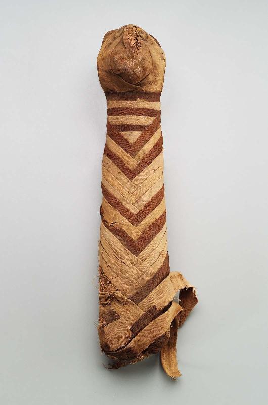 Mummy of a cat