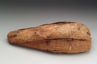 Mummy of an ibis