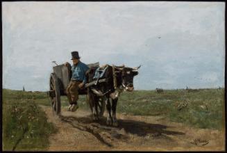Carter on a Country Road