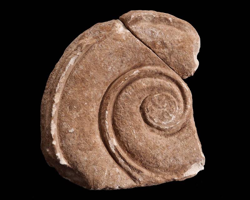 Volute of Ionic corner capital