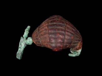 Fibula