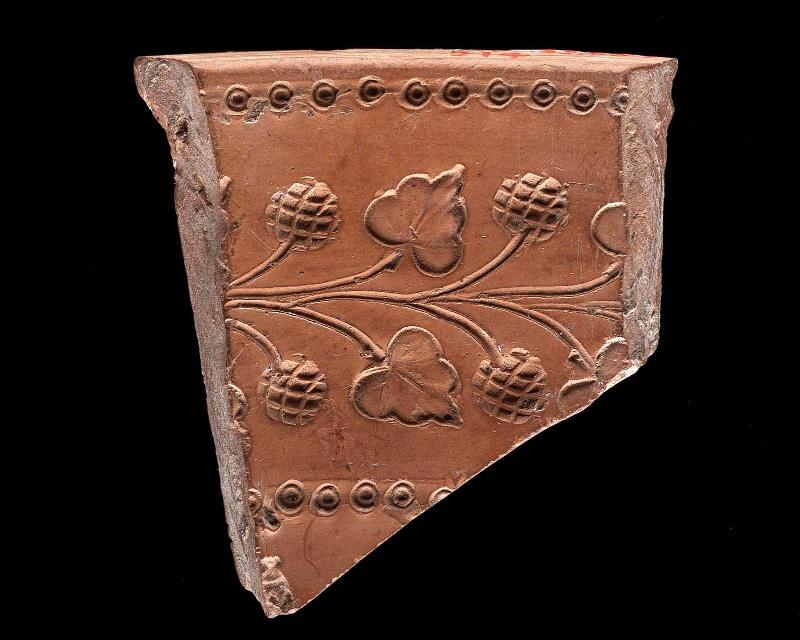 Fragment of mold