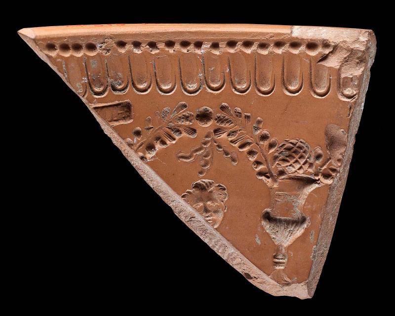 Fragment of mold