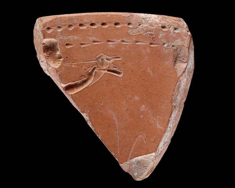 Fragment of mold