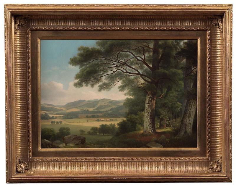 Edge of the Forest