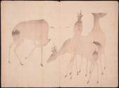 Detail: deer