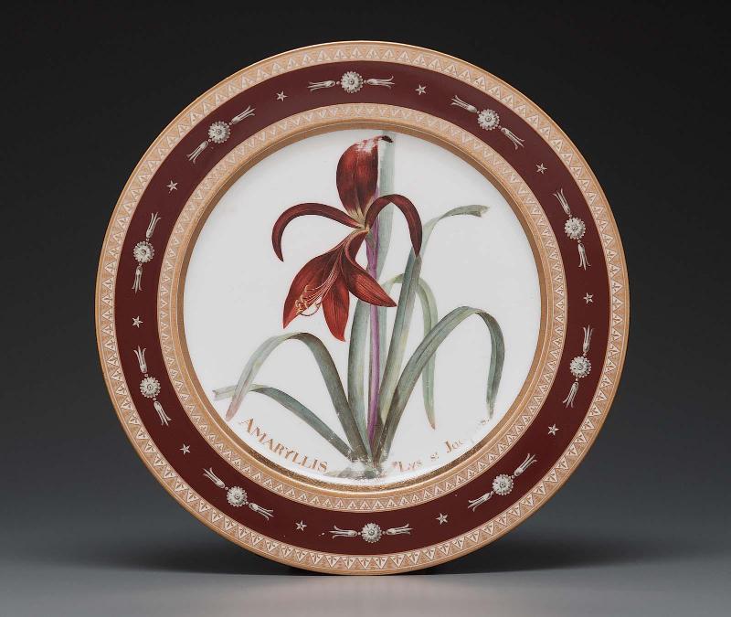 Plate from Service des plantes de la Malmaison