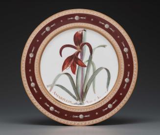 Plate from Service des plantes de la Malmaison