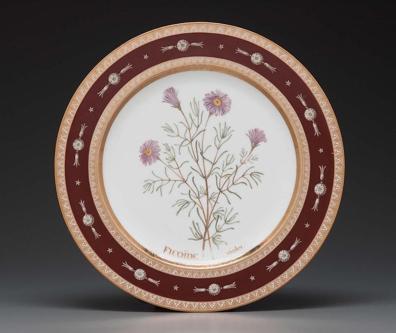 Plate from Service des plantes de la Malmaison