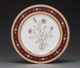 Plate from Service des plantes de la Malmaison