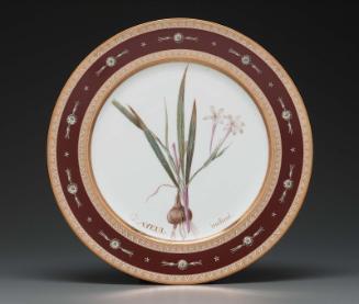 Plate from Service des plantes de la Malmaison