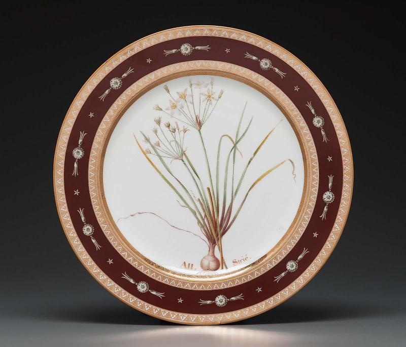 Plate from Service des plantes de la Malmaison