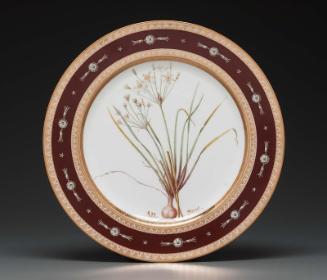 Plate from Service des plantes de la Malmaison