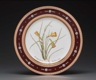 Plate from Service des plantes de la Malmaison