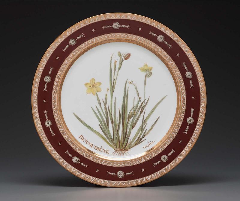 Plate from Service des plantes de la Malmaison