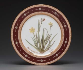 Plate from Service des plantes de la Malmaison