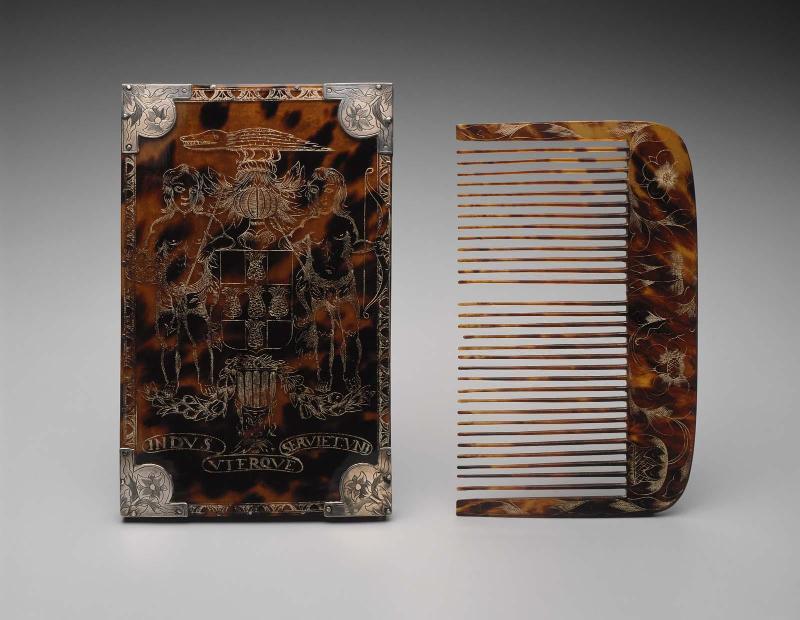 Comb with case
