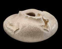 Vessel (Arroyo series)