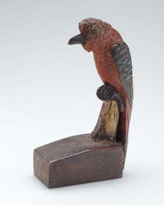 Parrot with Red Breast