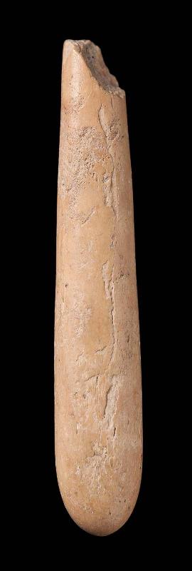Fragment of a handle