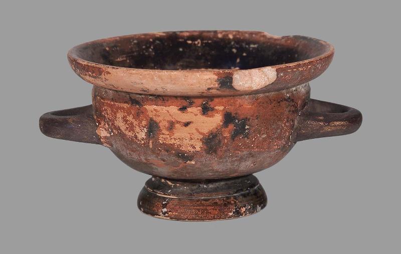 Cup (kotyle)