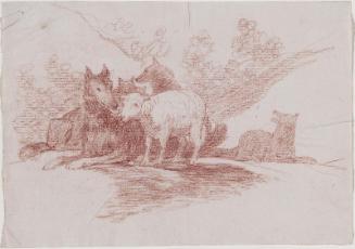 Lamb Among Wolves (drawing for unexecuted image for the Disasters of War  (caprichos enfáticos)
