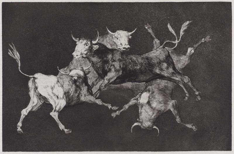 Disparate de Tontos (Fool's Folly) from the Disparates series